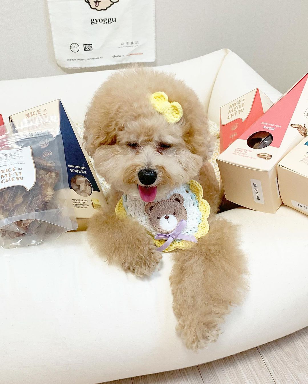 WhatsApp Image 2021-05-13 at 6.35.41 PM