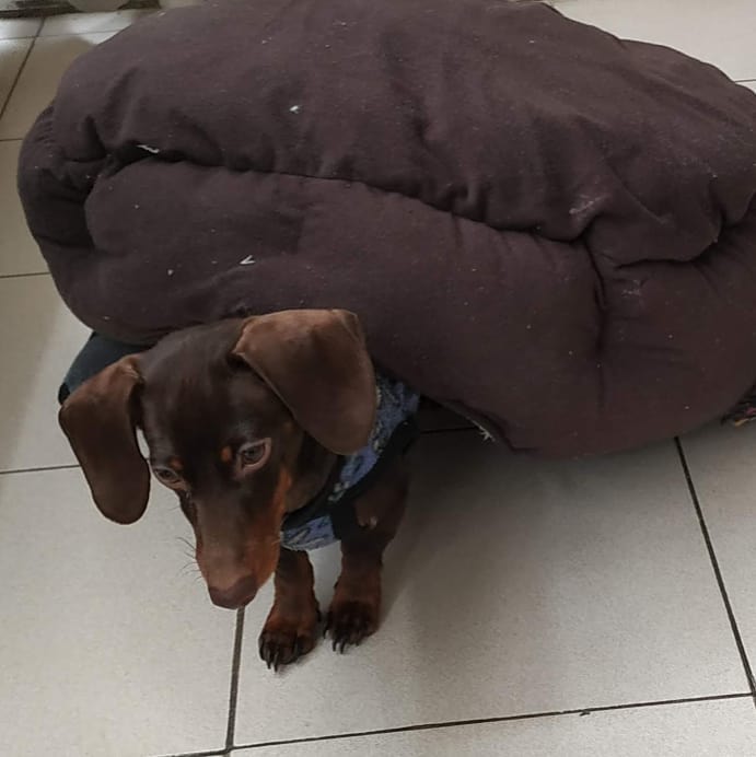 WhatsApp Image 2021-06-25 at 12.27.52 AM