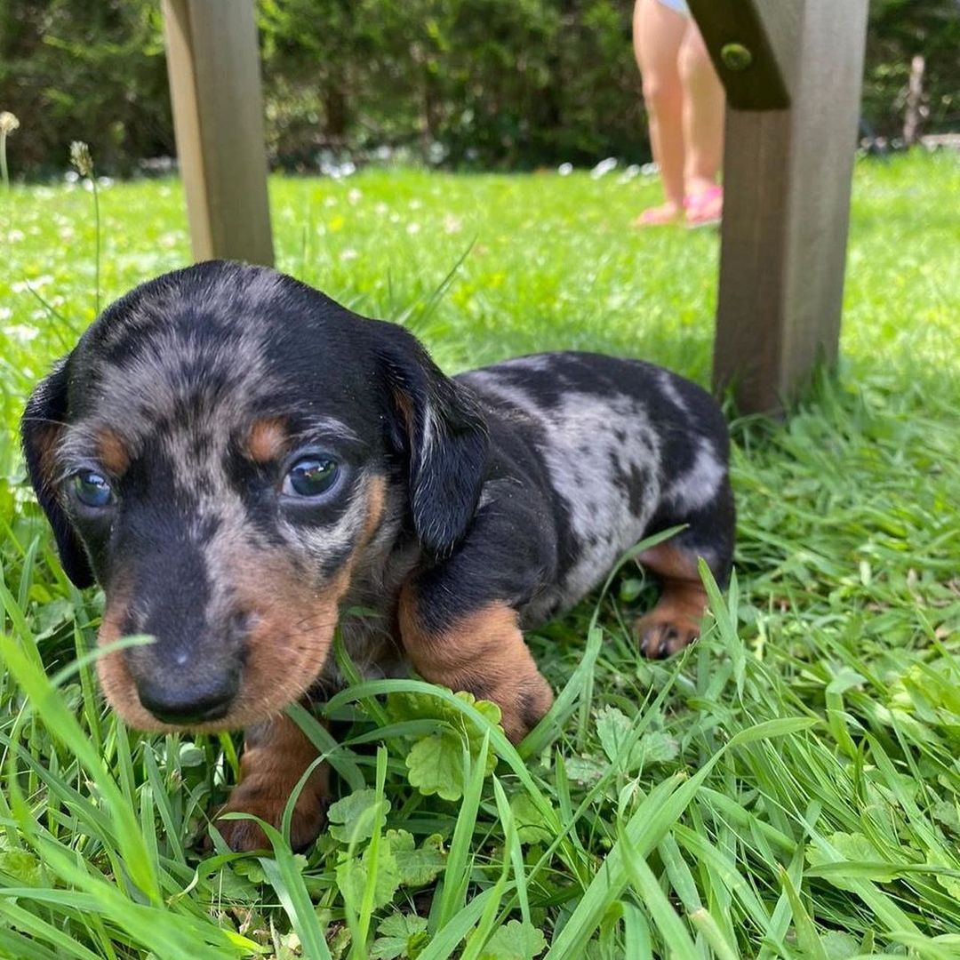 WhatsApp Image 2021-07-30 at 6.54.28 PM