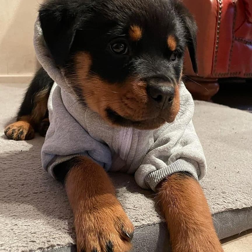 WhatsApp Image 2021-08-02 at 20.34.44 (1)