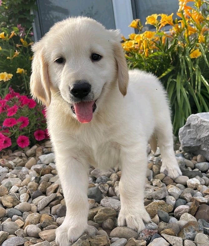 WhatsApp Image 2021-08-02 at 20.36.43