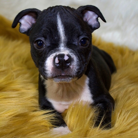 WhatsApp Image 2021-08-05 at 13.36.37