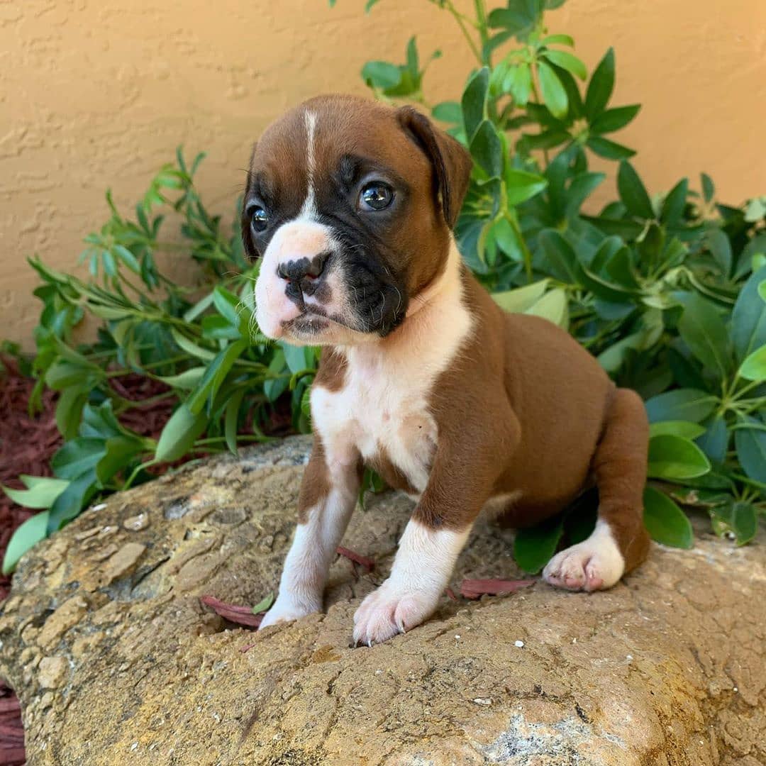 WhatsApp Image 2021-08-05 at 15.15.27