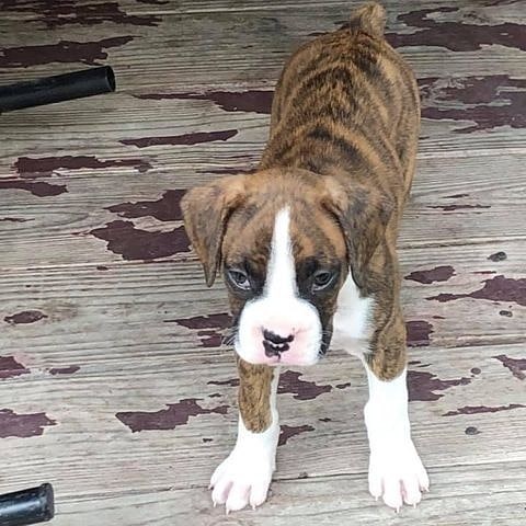 WhatsApp Image 2021-08-05 at 15.17.39