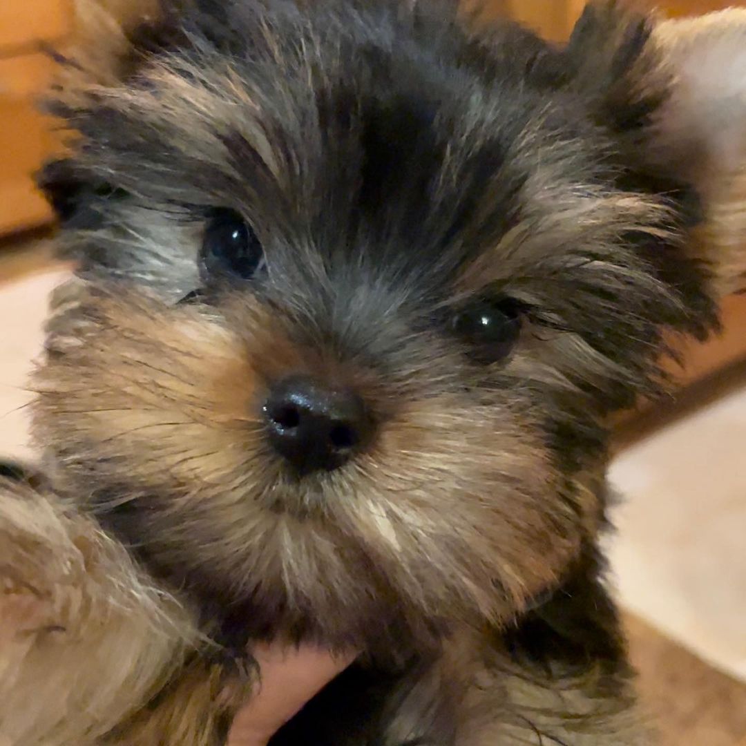 WhatsApp Image 2021-08-10 at 17.55.30 (1)