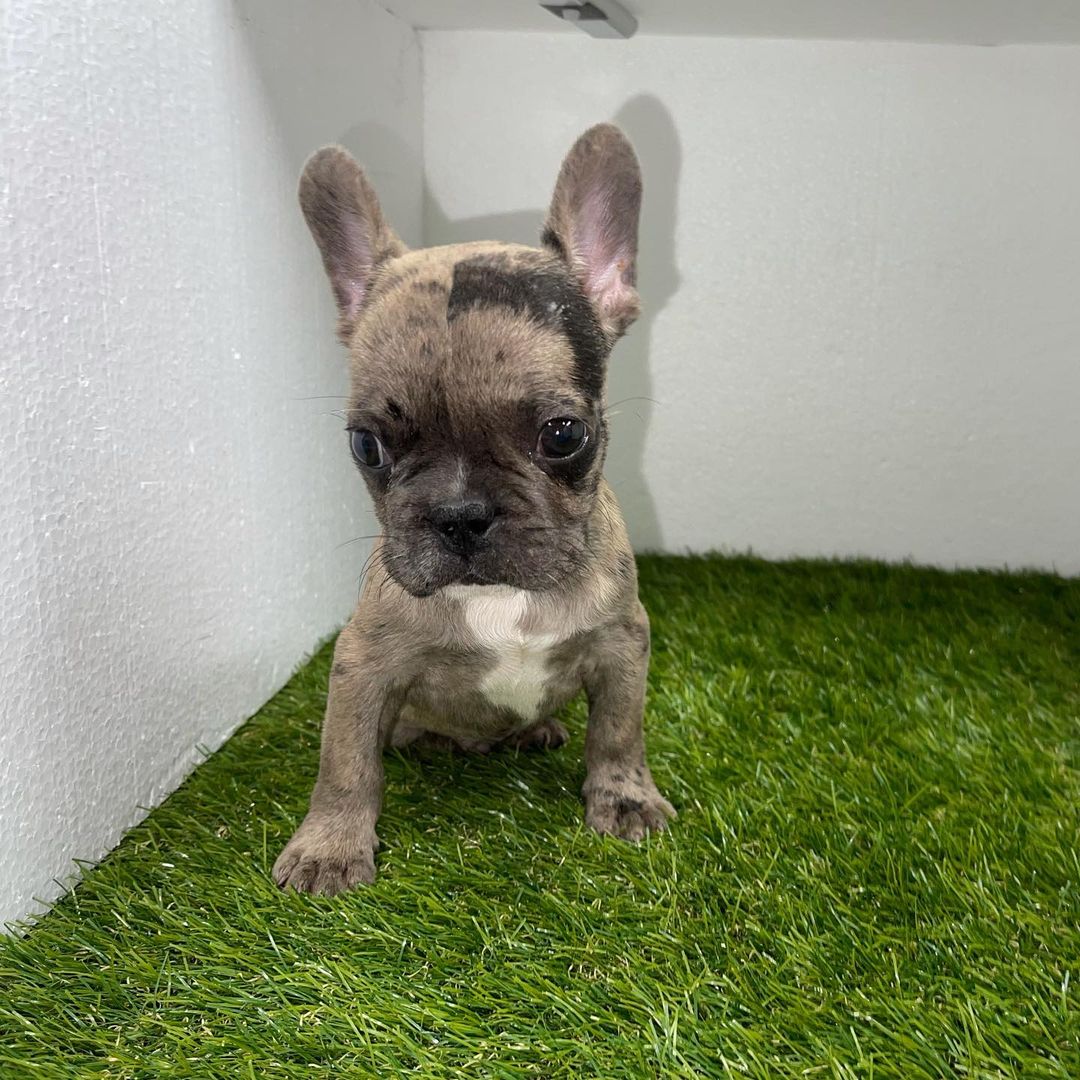 WhatsApp Image 2021-10-01 at 00.56.03 (5)