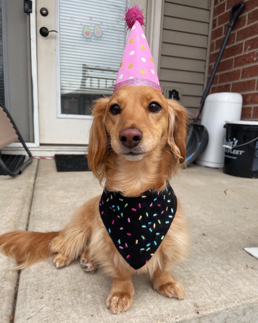 darlas.diary_1640246864817477