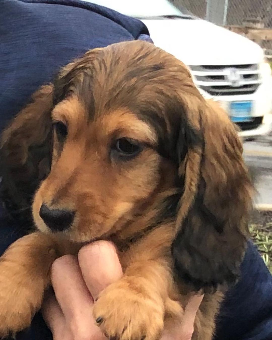 franceslrothrd_1639990938942149