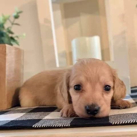 keven_jurgens_1639992531072307