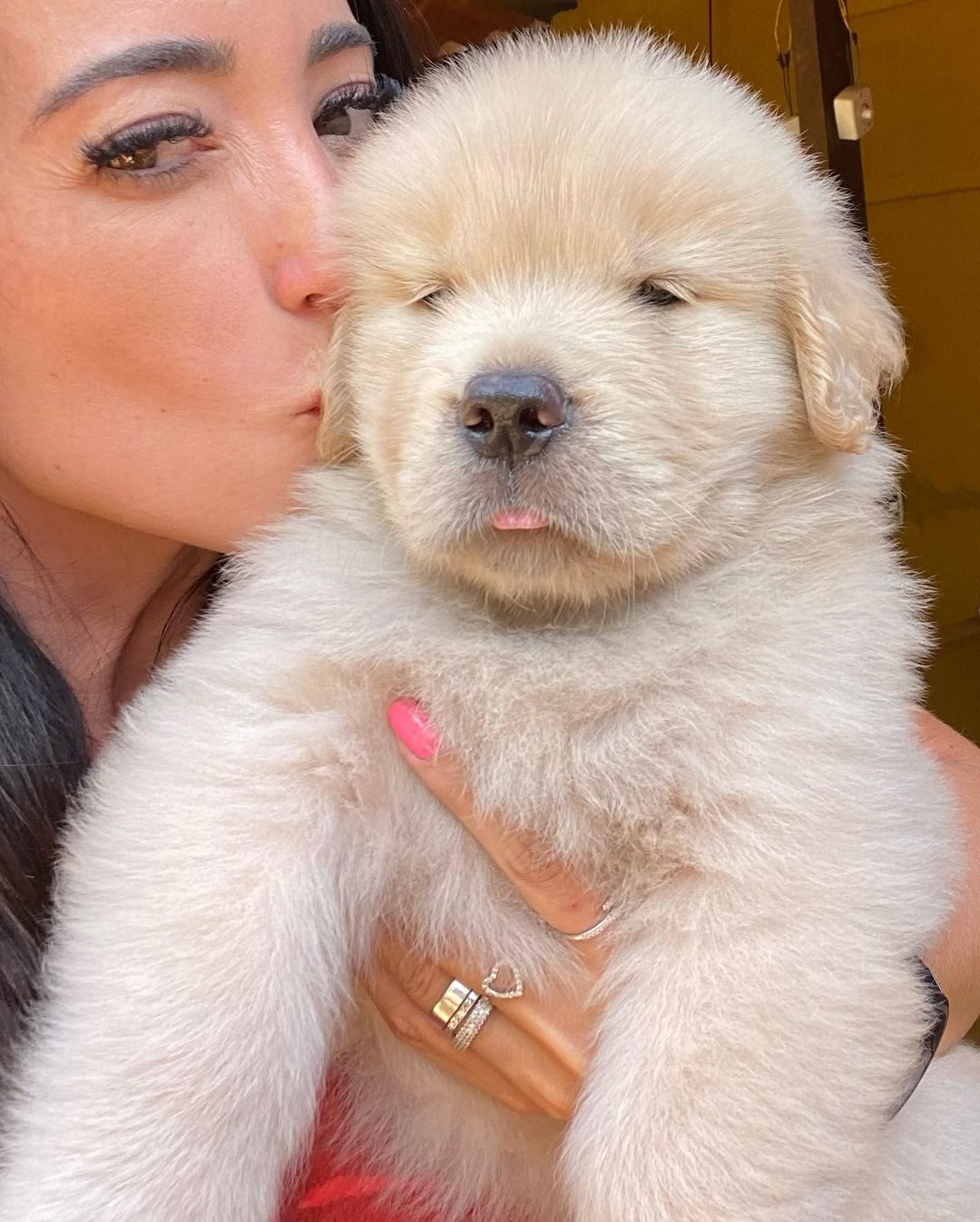 gffkennel_1644562182778351.jpg