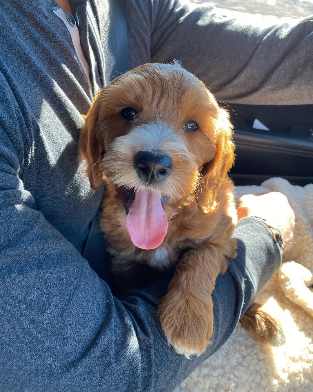lincolnthe_dood-20220208-0002