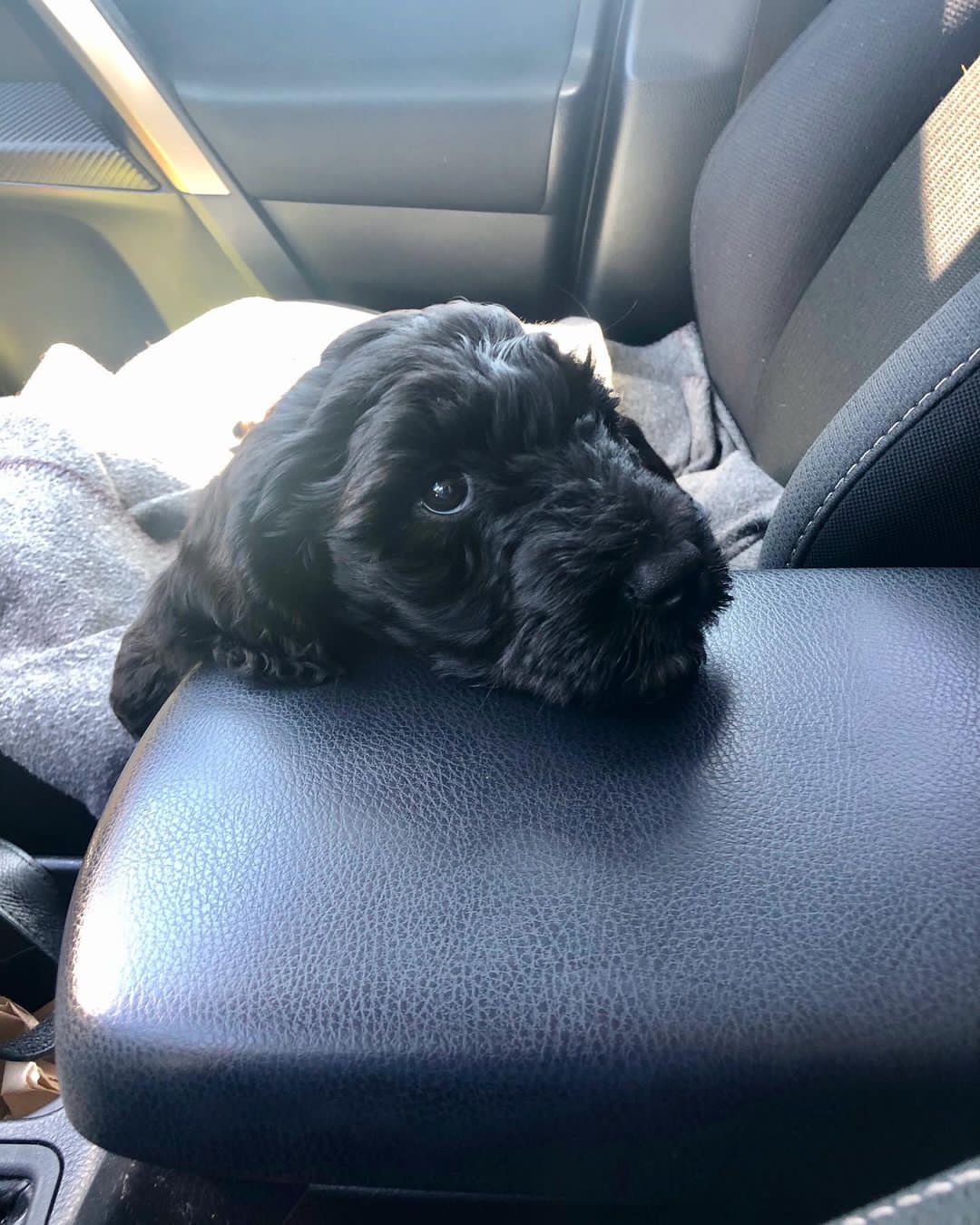 makena.doodle-20220208-0001